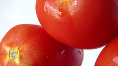 Как прорастить семена помидор