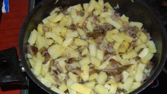 Как приготовить опята с картошкой