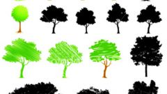 Как научиться рисовать деревья