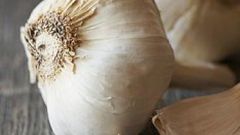 How to take garlic