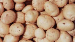 Как удобрить картошку