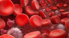 Как повысить свертываемость крови