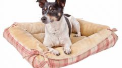 How to sew dog lounger