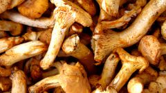How to fry frozen mushrooms