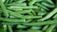 How to cook dishes of green beans