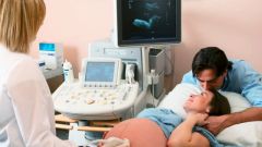 How to determine the pregnancy by ultrasound
