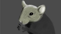 Как нарисовать мышонка