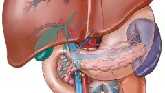 How to know about liver disease