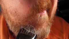 Как выбрать триммер для бороды