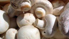 How to cook frozen mushrooms