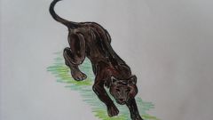 Как рисовать пантеру