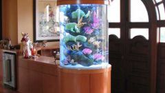 How to soften the water in the aquarium
