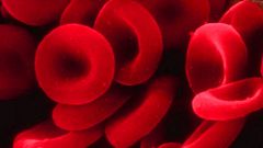 How to reduce hemoglobin folk remedies