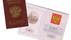 How to obtain a passport for the loss