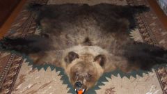 Как выделать шкуру медведя