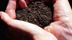 Как подготовить почву к посеву