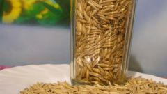 How to prepare a decoction of oatmeal