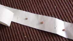 How to glue seeds to the paper