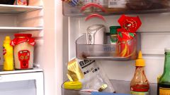 Как избавиться от плесени в холодильнике
