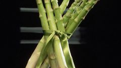 How to cook green asparagus