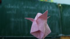 Как сделать бумажный тюльпан