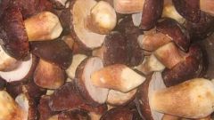How to boil fresh mushrooms