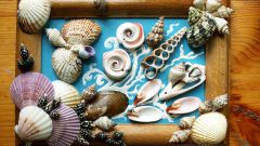 How to glue seashells