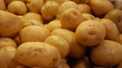 Как вырастить большой урожай картофеля