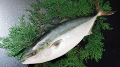 How to cook haddock fish