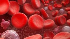 Как увеличить количество лейкоцитов в крови