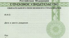 How to obtain the pension certificate of the child