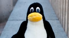 Как ввести Linux
