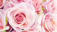 Как сохранить букет роз свежим