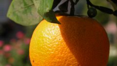 Как вывести пятна от апельсина