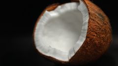 Как хранить кокос