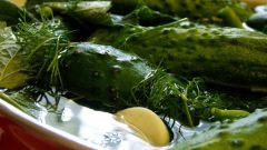 How to make pickled cucumbers