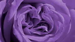 Как смешать фиолетовую краску