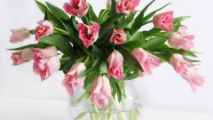 Какие цветы дарят на 8 марта