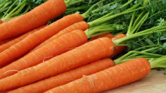 How to cook carrot salad