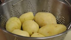 How to boil potatoes for the salad