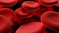 Как определить уровень гемоглобина в крови
