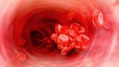 Как увеличить количество тромбоцитов в крови