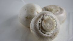 How to determine the freshness of the mushrooms