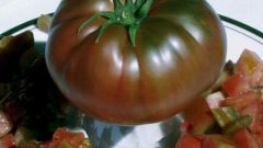 Как выращивать томаты черные