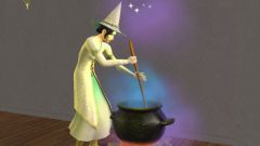 As in the Sims 2 become a witch