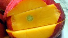 Как вырастить домашнее манго