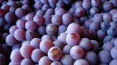 Как отжать виноград