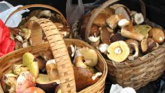 Как вкусно мариновать грибы