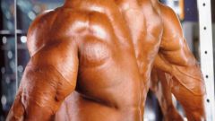 Как быстро накачать мышцы спины
