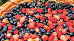 Как хранить лесные ягоды